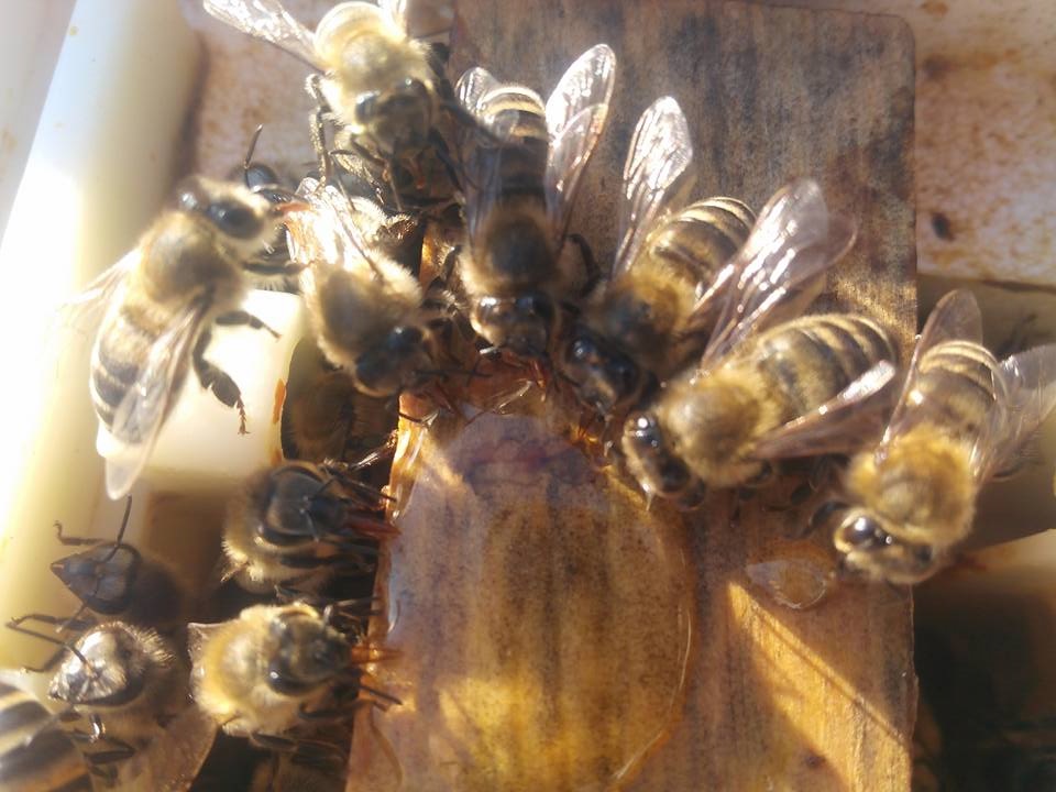 kovan-kontrolü-ocak2018